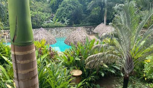 King Room with Pool View