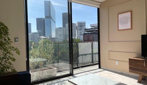 Deluxe One-Bedroom Apartment with City View