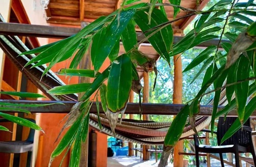 Isla Aguada Hotel | Cabañas Playa Pink Isla Aguada.