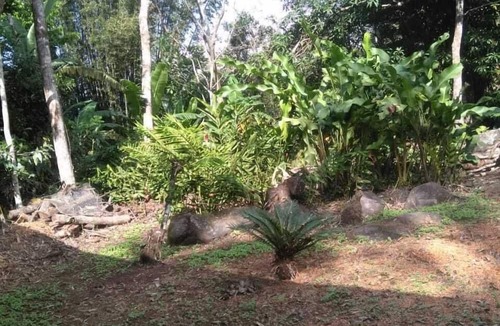 Catemaco House | Nice House Natural