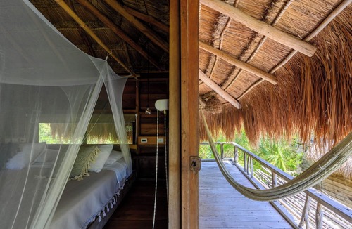 Zona Hotelera Cabin | Vida Silvestre Tulum