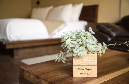 Queretaro Bed & Breakfast | María & Bernardo Casa - Viñedo