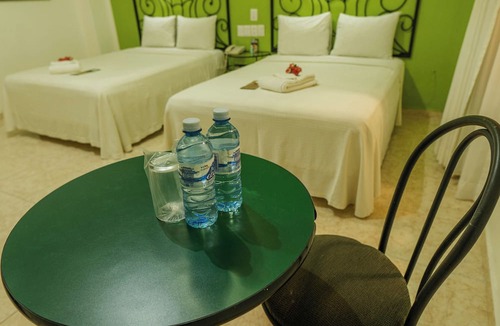 Palenque Hotel | Maya Tulipanes Express