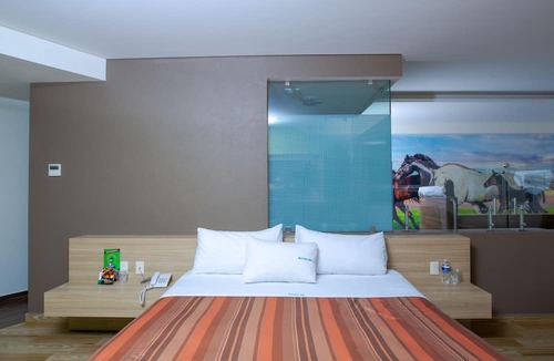 Texcoco Hotel | Xcoco Inn