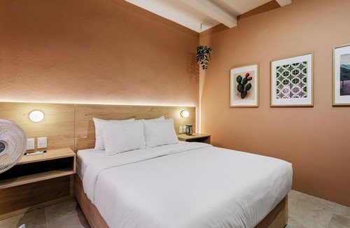 La Cruz Apartment | Damián Carmona by Homirent