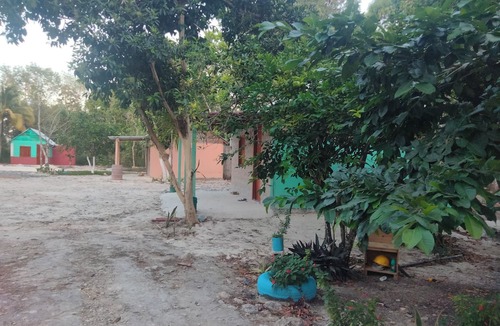 Xpujil Cabin | Cabañas la orquídea
