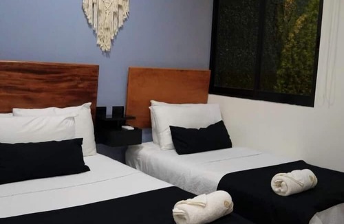 Centro Hotel | Hotel Palenque Premier