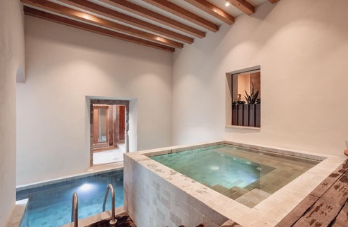 Zona Centro Apartment | Le Cottage San Miguel de Allende