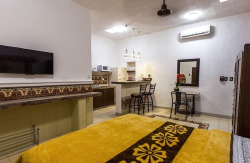 Centro Apartment | Studio w/shared plunge pool, Netflix, etc. .9 mi. from central sq.