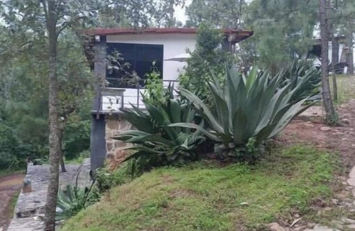 Mazamitla Cabin | Shiraz PINOS DEL RIO chalet with forest view