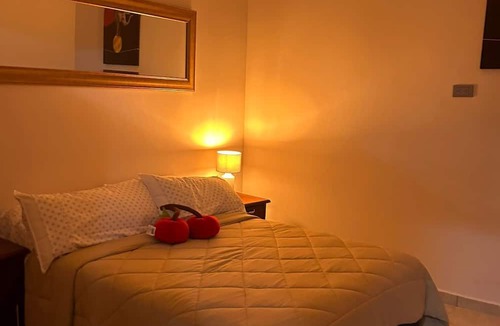 Xalapa Apartment | Cherry apartment 🍒 in downtown Xalapa. Within reach of everything!