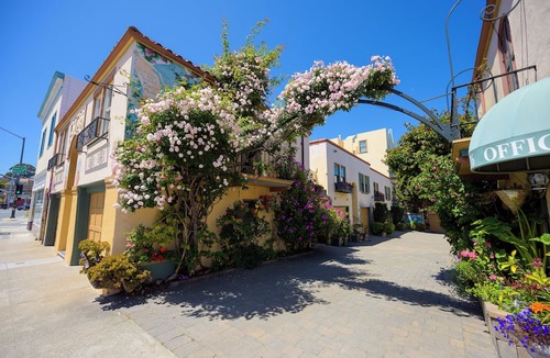 Marina District Hotel | Street-Facing Dog-Friendly Queen Room with Kitchen, Free Parking & Wi-Fi