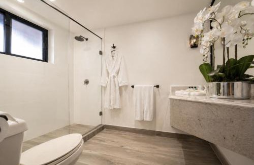 Zimapan Hotel | Hotel Royal Spa