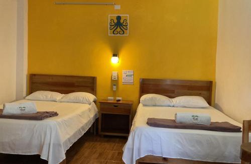 El Cuyo Apartment | Villa Palmar