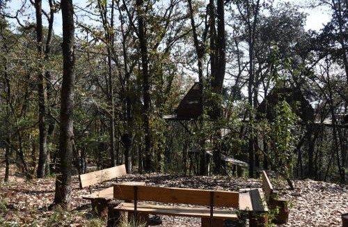 Omitlan de Juarez Other | Cabaña Komorebi, Punta del Bosque
