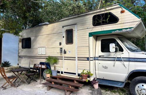 Xpujil Other | Calakmul Momotoh Camper