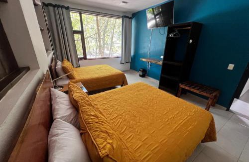 Xpujil Apartment | Hotel "Casa Las Lolas"