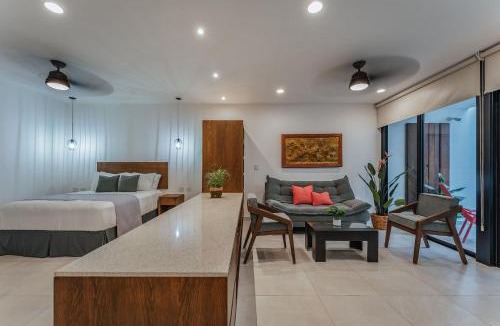 Zona Paseo Montejo Apartment | Casa Regina Loft Paseo de Montejo