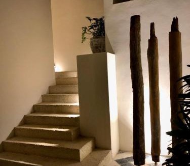 Zona Centro Hotel | Casa Japa