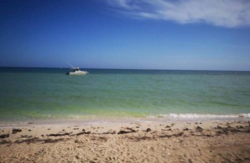 Dzemul Hotel | San Bruno TROPICAL Villa With POOL