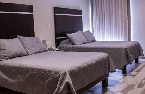 Coatepec Hotel | Hotel San José Plaza Coatepec