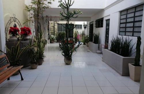 Zona Paseo Montejo Apartment | MI CA-SA EN MÉRIDA