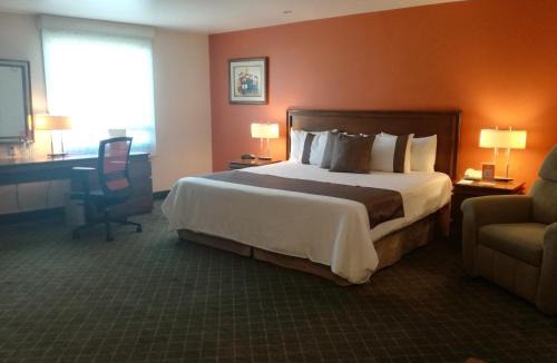 Pachuca Hotel | Mision Express Pachuca