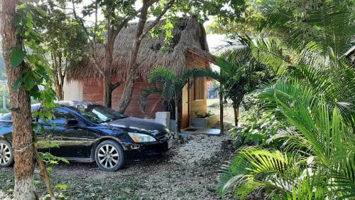 Xpujil Other | Cabanas chaac Calakmul
