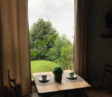 Zinacantan Cabin | Cabañas Suites Sergia Torres