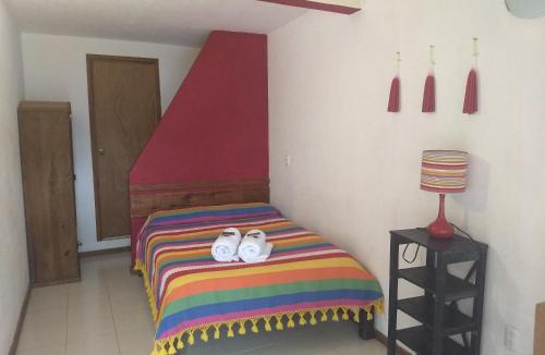 Santa Lucia Hostel | La Abuelita Hostal