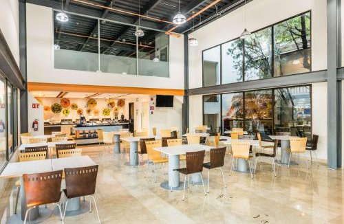 Zona Expo Hotel | Wyndham Garden Guadalajara Expo Plaza del Sol
