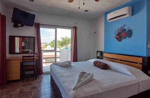Rio Lagartos Hotel | Hotel Tabasco Rio