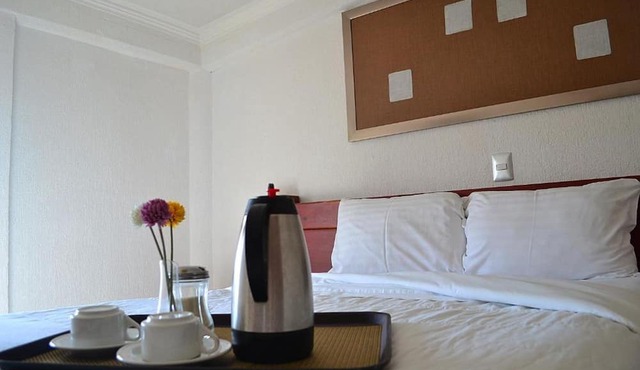 Hotel Campestre Inn in León