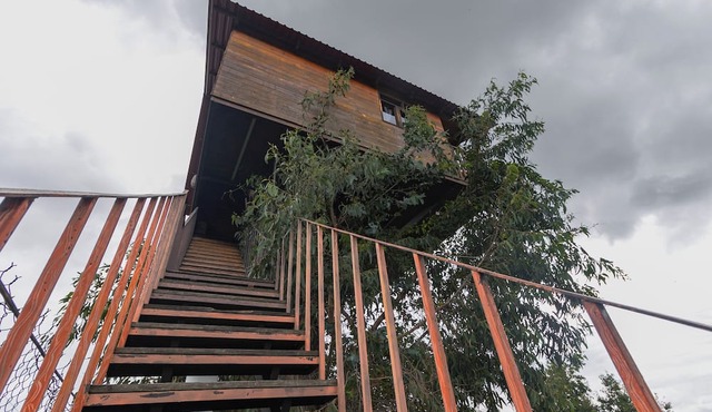 Casita Del Arbol Trini By GEstores