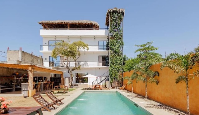 Surfnest Hostel