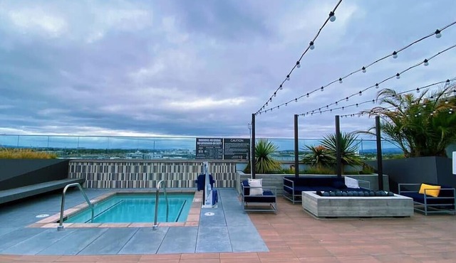 Spacious Luxury Apartment in Heart of Bay Area
