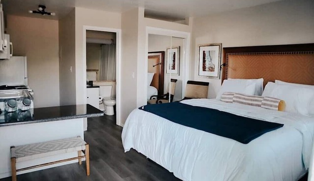 205 Spacious & Cozy Studio in Mesa -1 King bed! in Mesa