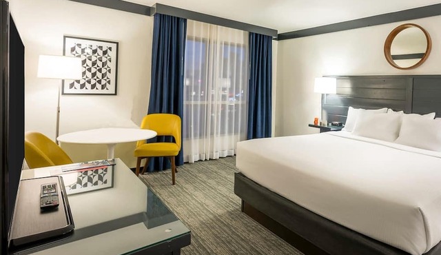 Pet Friendly King | Las Vegas Stay
