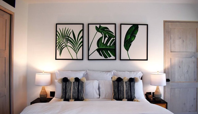 Modern Comforts in the Art District: Condo Getaway in San Jose del Cabo