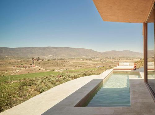 Banyan Tree Veya, Valle de Guadalupe