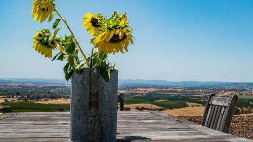 Top of the Hill by AvantStay