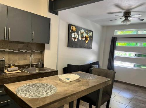 Dpto 1 Ejecutivo con WiFi, Terraza, Parking y Aire acondicionado