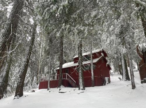 Sequoia Hobbit Cabin