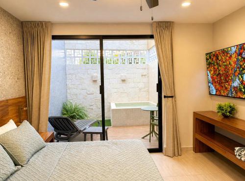 Suite Deluxe con piscina privada en Valladolid - Penca Leonor 11