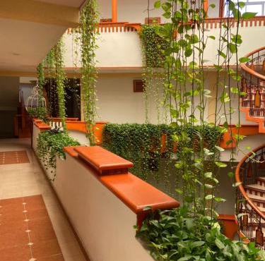 Hotel Báez Carrizal