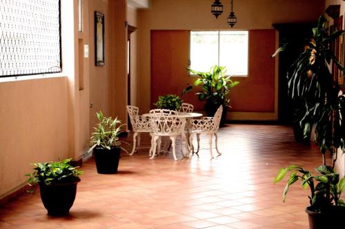 Hotel San Fernando Ciudad Valles