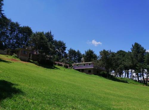 Hotel Bosques