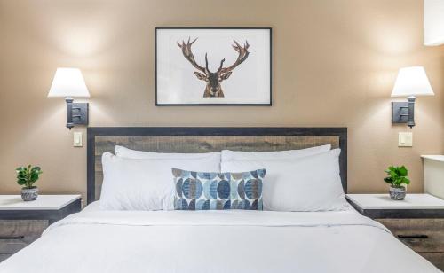 Inn At Mount Shasta 